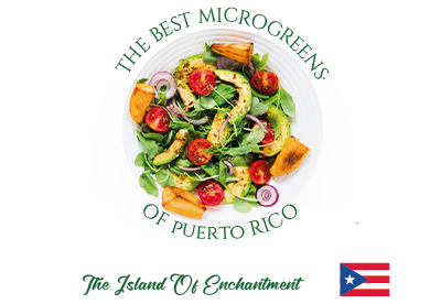 Los Mejores Microgreens de Puerto Rico Agricultura.LTA