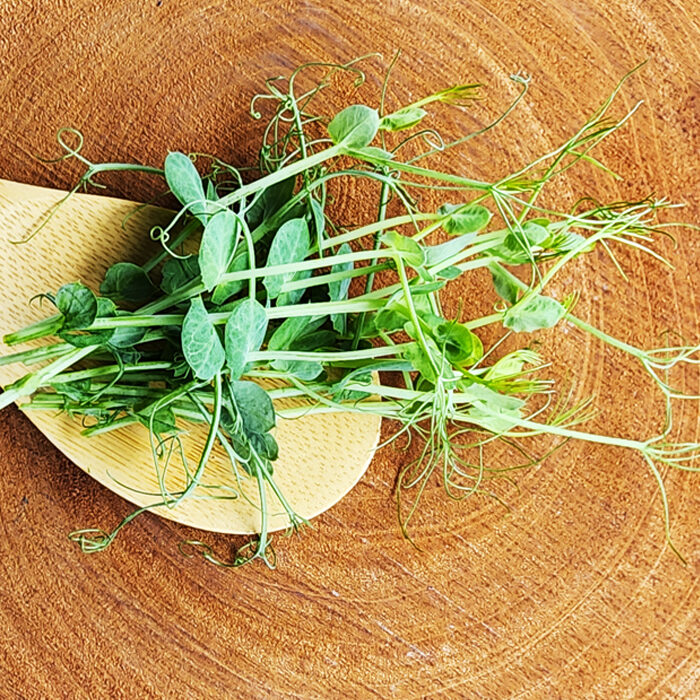 Pea Shoots Tendrils